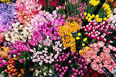 PvE合作生存逃离ARPG《Surfpunk》Steam页面上线 支持中文